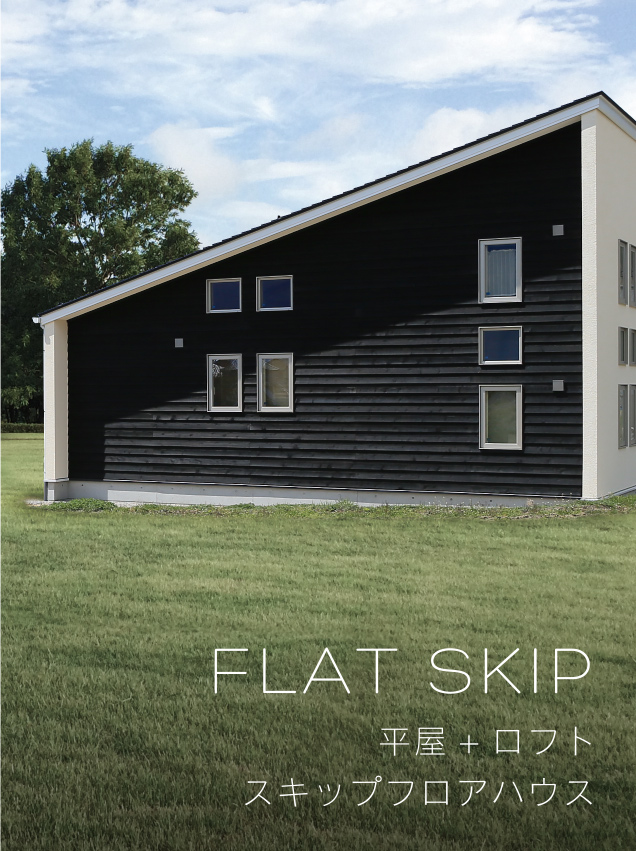 FLAT SKIP