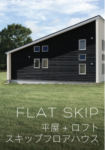 FLAT SKIP